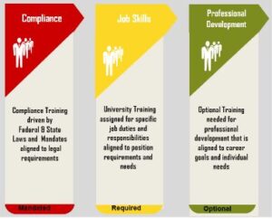 Training Framework Model